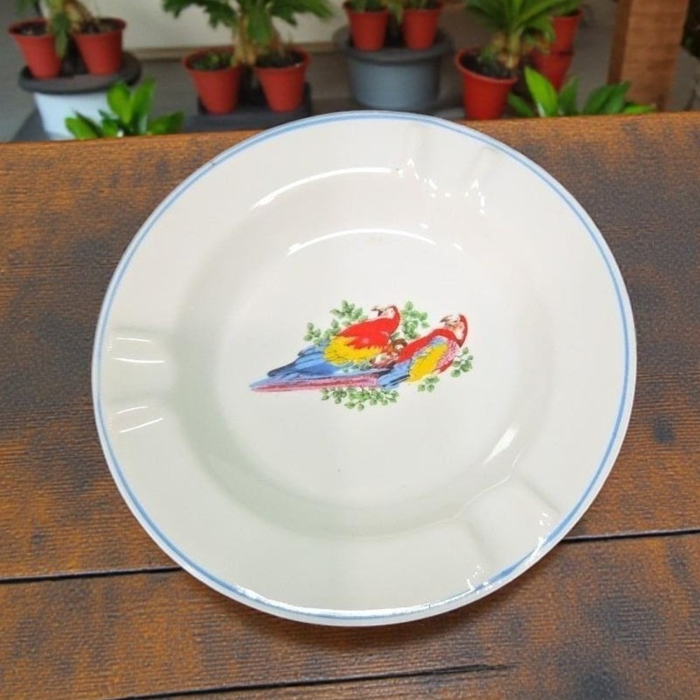 Leart Tropical Birds Ashtray, Vintage Parrots Decor, Replacement Travel Keepsake